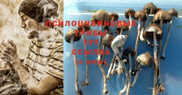 Альфа ПВП Аркадак