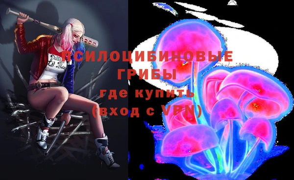 Альфа ПВП Аркадак
