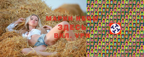 Альфа ПВП Аркадак