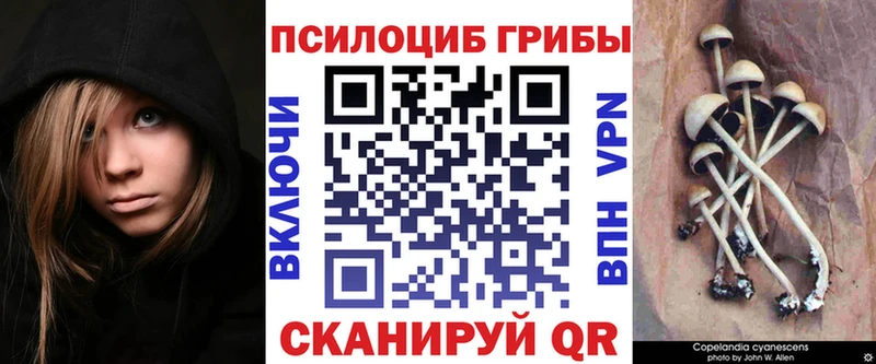 Галлюциногенные грибы ЛСД  Луга 